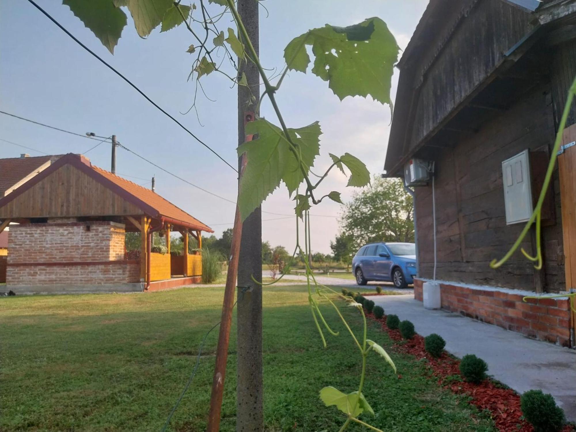Kuca Za Odmor Jopi I Mare Villa Topuszka Kültér fotó