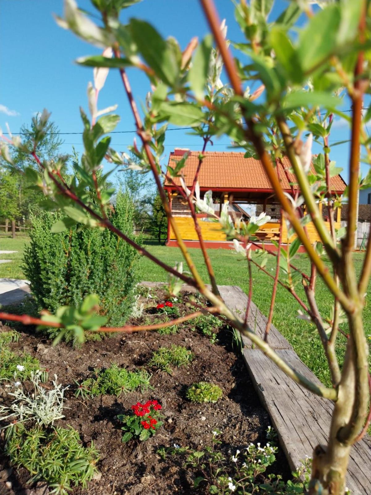 Kuca Za Odmor Jopi I Mare Villa Topuszka Kültér fotó