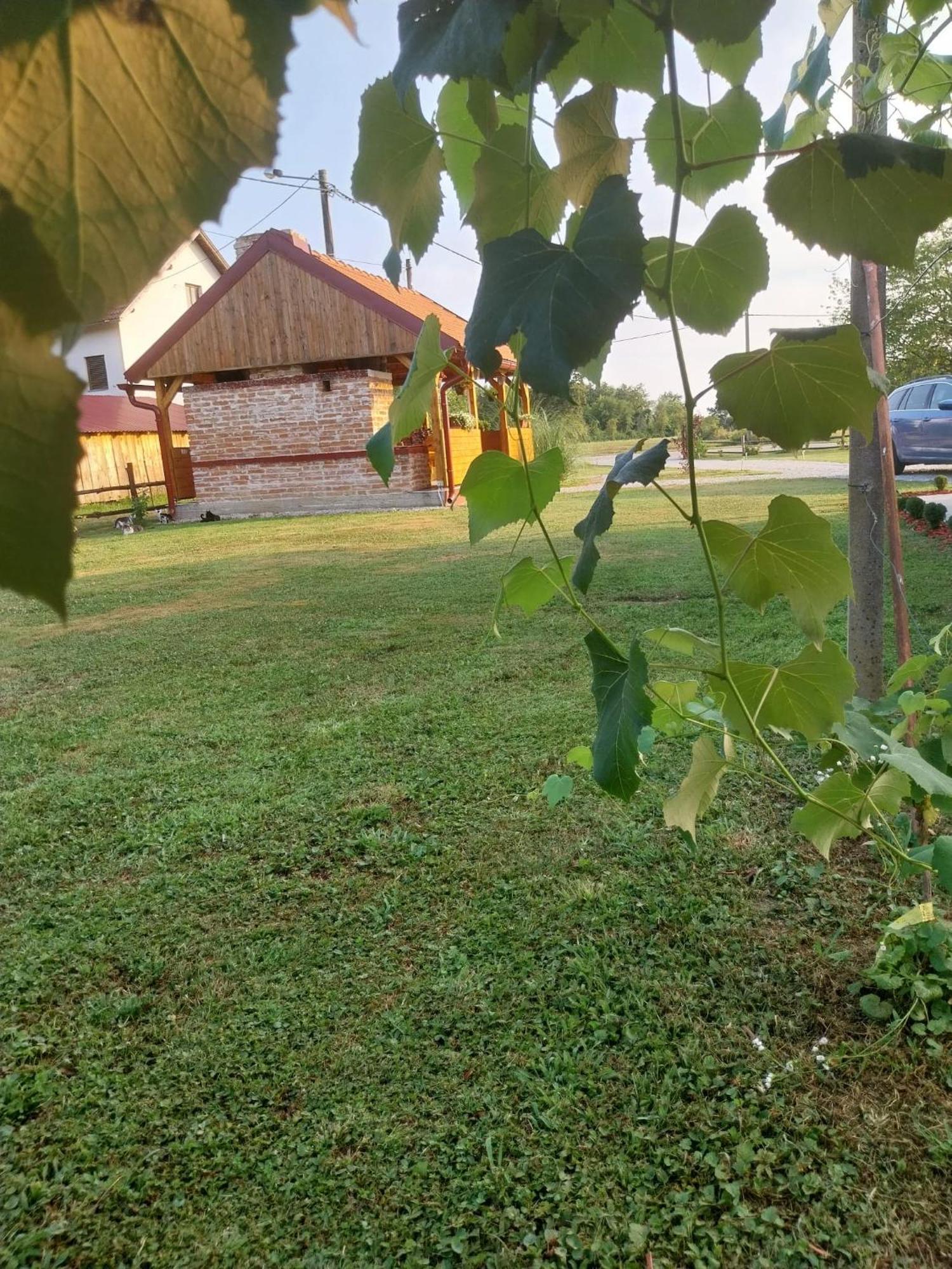 Kuca Za Odmor Jopi I Mare Villa Topuszka Kültér fotó